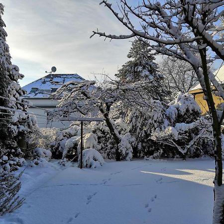 Vila Krocinka Apartman Prága Kültér fotó